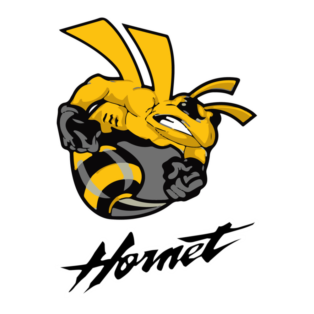 Angry Hornet .png
