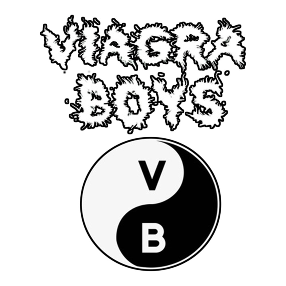 vebe01,Swedish post-punk band .png