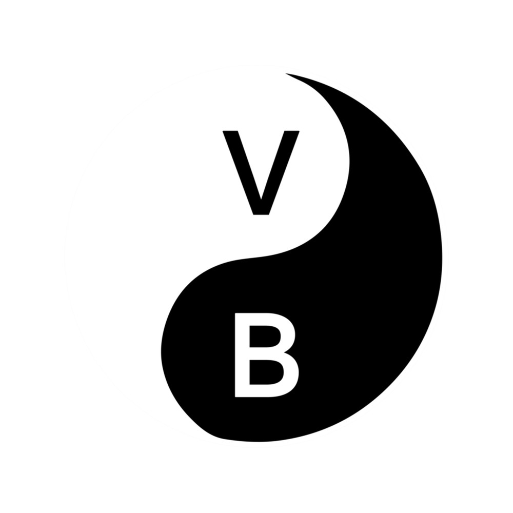 Viagra Boys Merch Black And White Logo .png