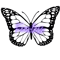 fearless butterfly .png