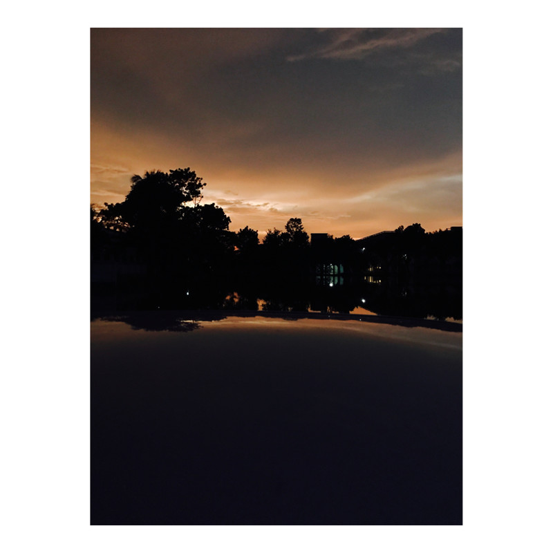 Light in the Dark .png