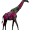 Neon Giraffe .png