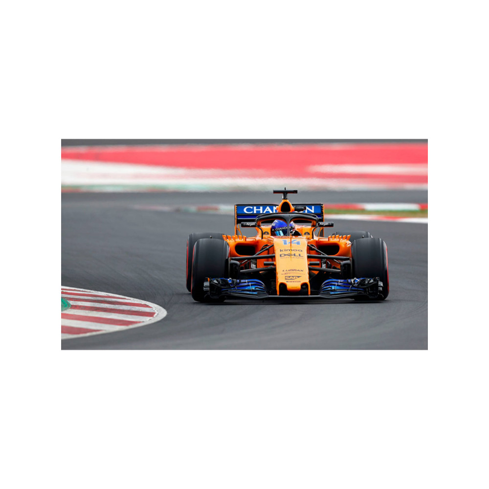 Illustration Fernando Alonso Wallpaper .png