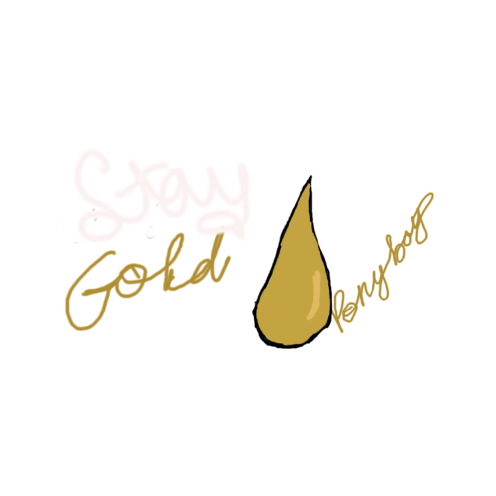 avaa stay gold ponyboy .png