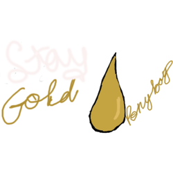 avaa stay gold ponyboy