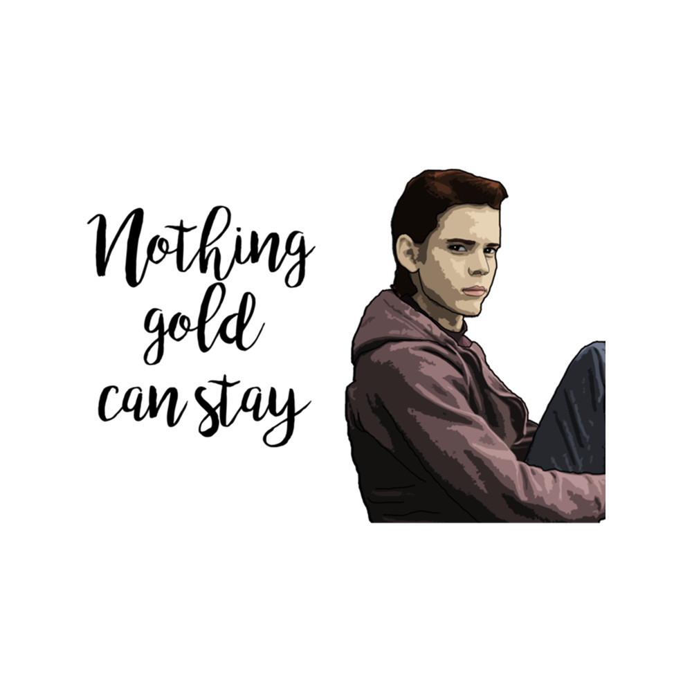 The Outsiders Ponyboy .png