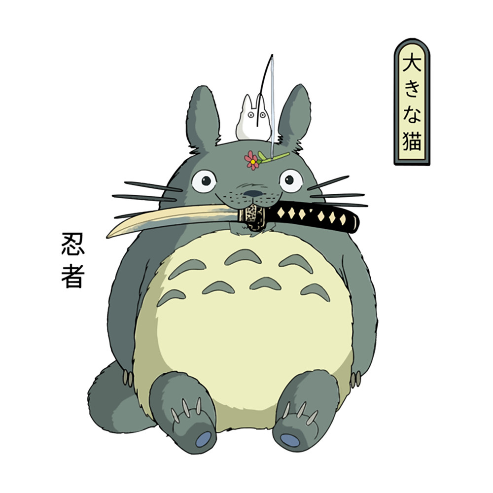 Big Magic Ninja Cat .png