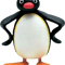 Angry Pingu New Official Merch .png