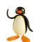 Pingu .png