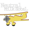 Neutral Milk Hotel - Aeroplane . .png