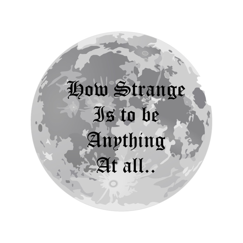 Neutral milk hotel - How strange is to be Anything At All .png