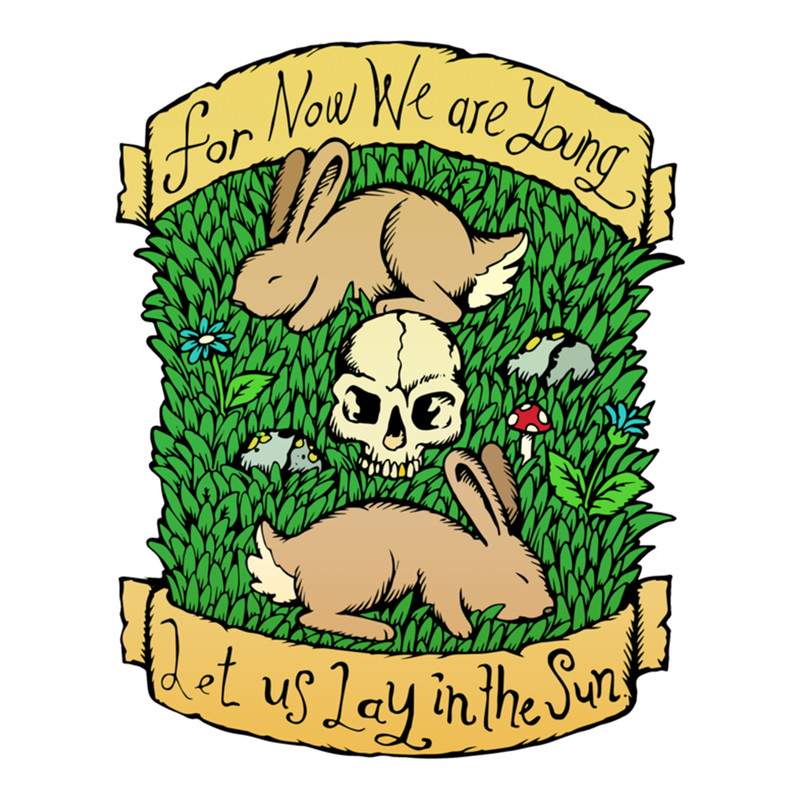 Neutral Milk Hotel - In the Aeroplane Over the Sea - Illstrated Lyrics - Colour Version.png