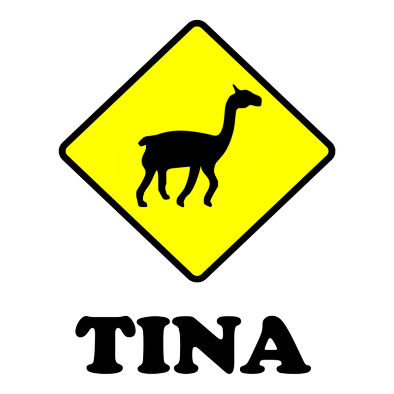 Tina Crossing .png