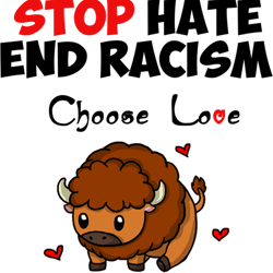 choose love stop hate end racism bison