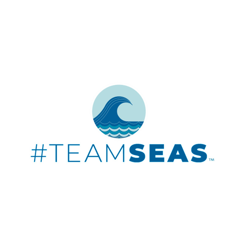 Team Seas Official Logo. .png