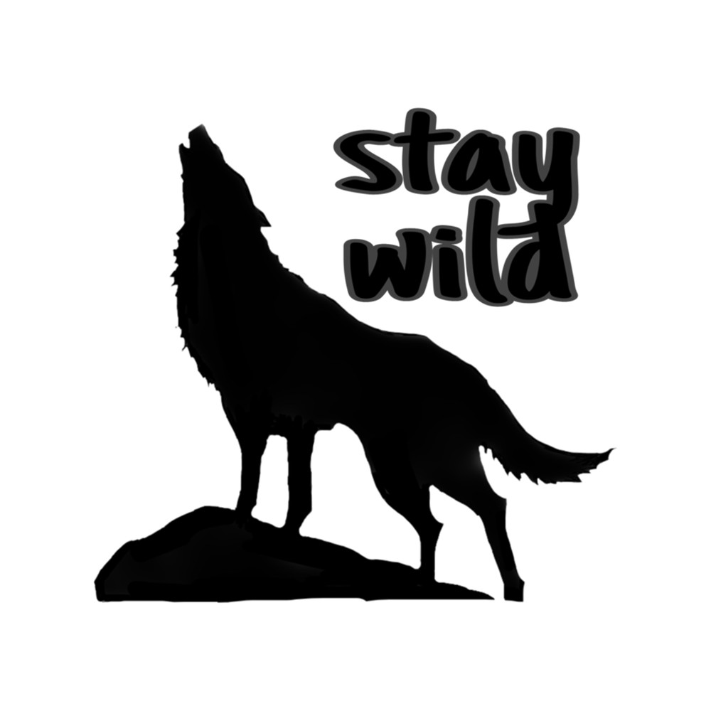 Ben Azelart Stay Wild .png