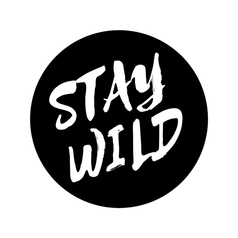 stay wild ben azelart .png