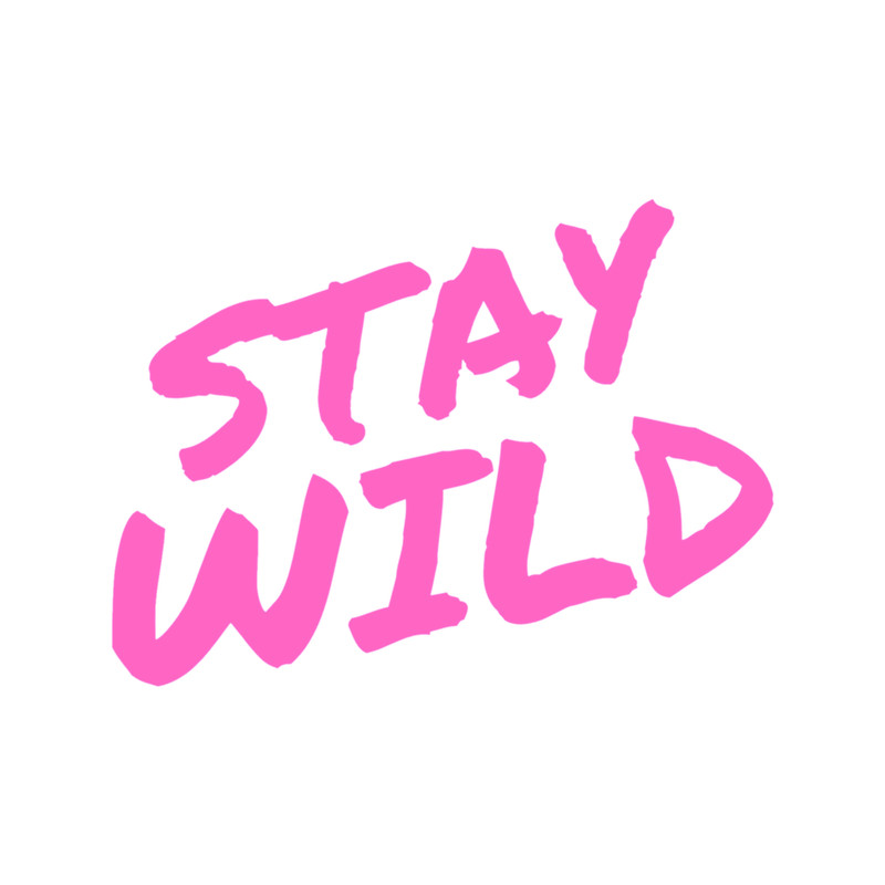 stay wild ben azelart .png