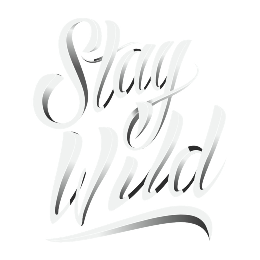 Stay Wild ben azelart .png