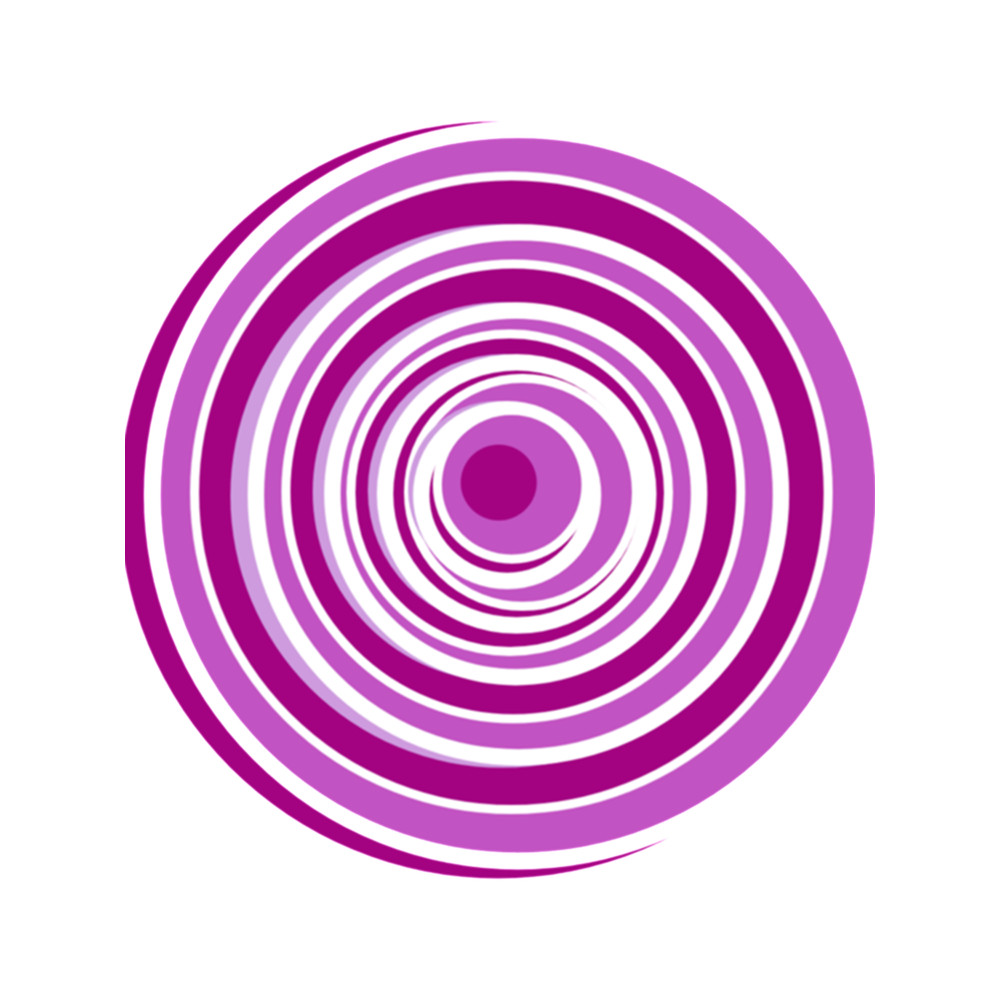 Netflix the circle .png