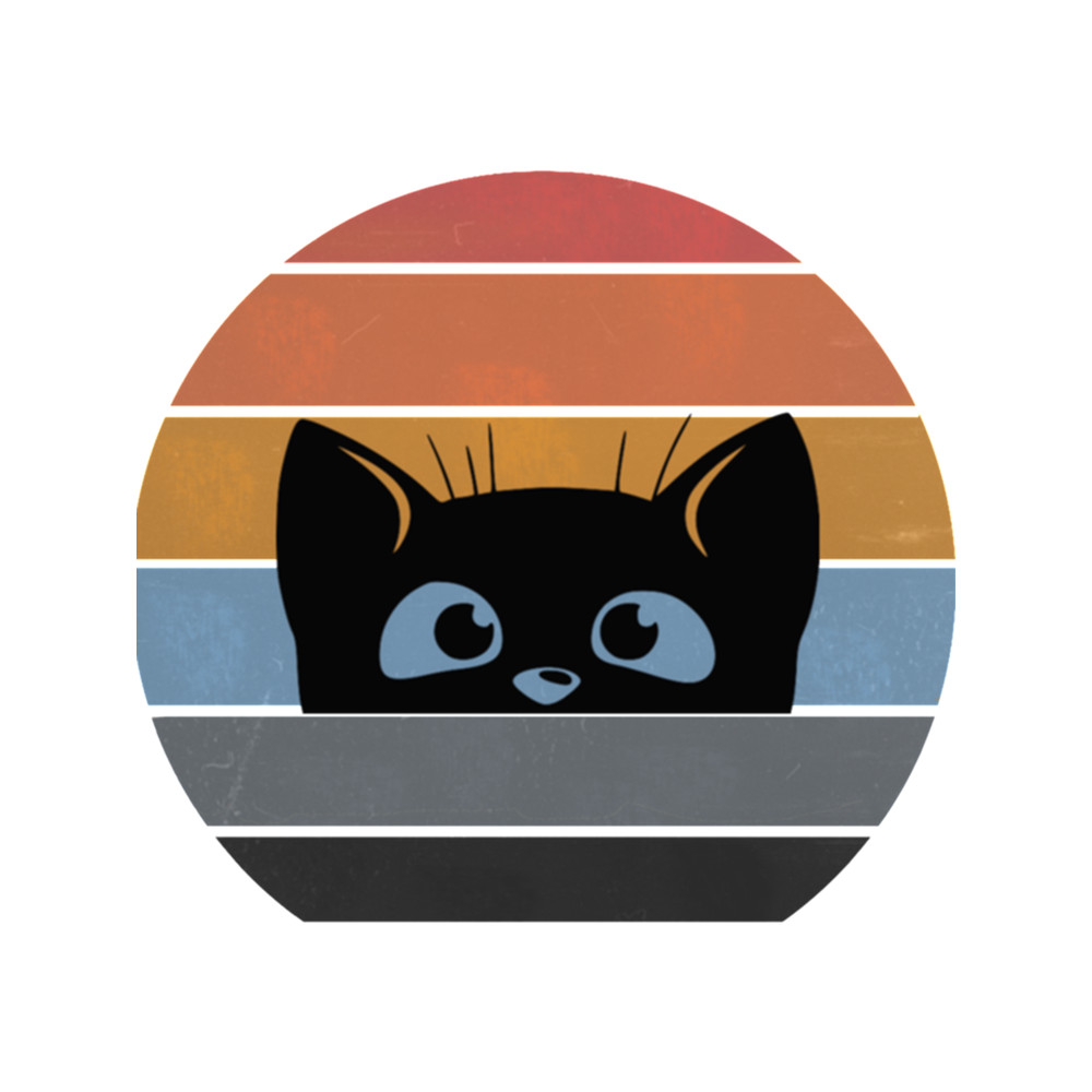 THE BLACK CAT    .png