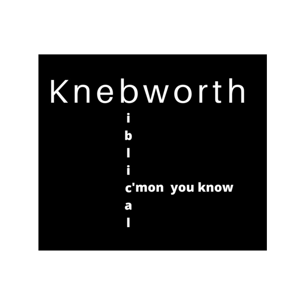 Liam Gallagher Knebworth Inspired Merch .png