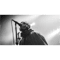 Liam Gallagher Live .png