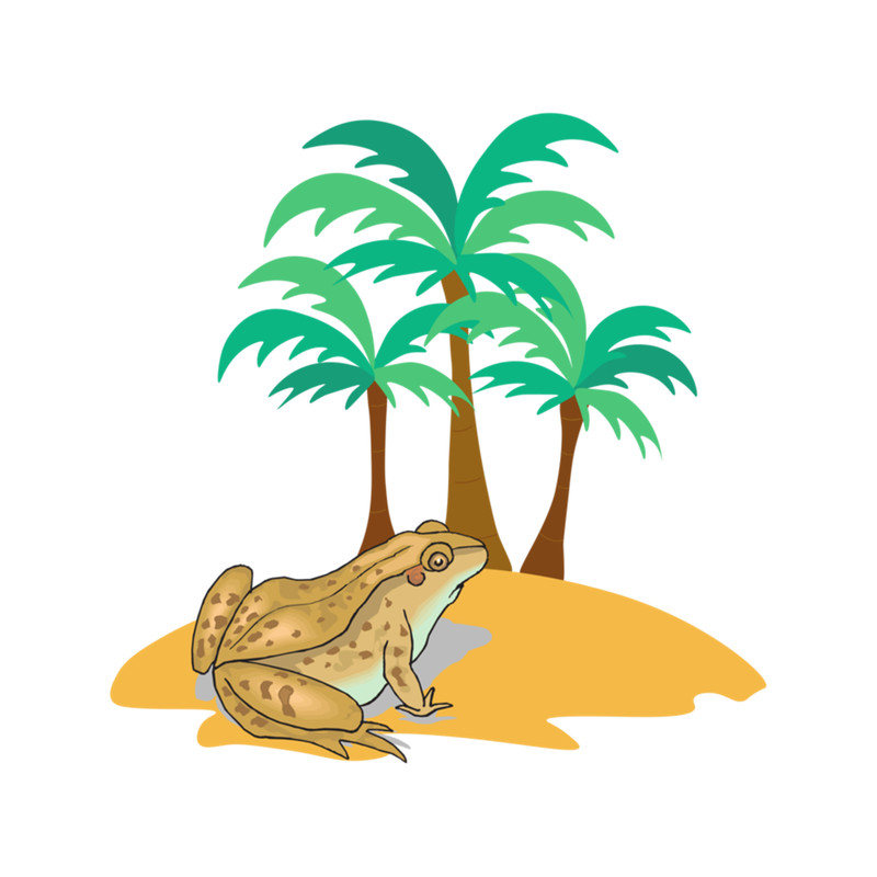 Frog At The Beach-Frog (8).png