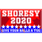 SHORESY FOR PRESIDENT .png