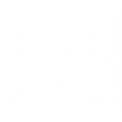 adam and the ants