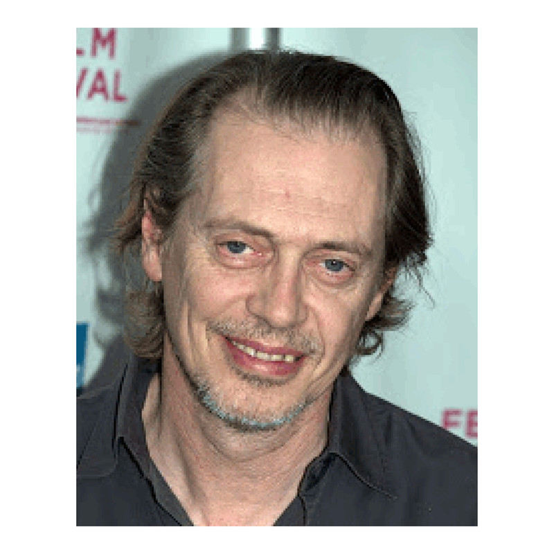 Steve Buscemi Graphic .png