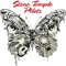 BESTSELLER-Stone Temple Pilots     .png