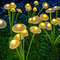 Solar Mushroom Lights, LED Solar Garden Lights Dual Mode, Waterproof Jellyfish Yard Decor for Pathway Patio Ambiance