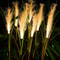 Solar Power Light Outdoor LED Garden Reed Lamp Waterproof Lawn Light Path Lighting Decor Yard Chris 0