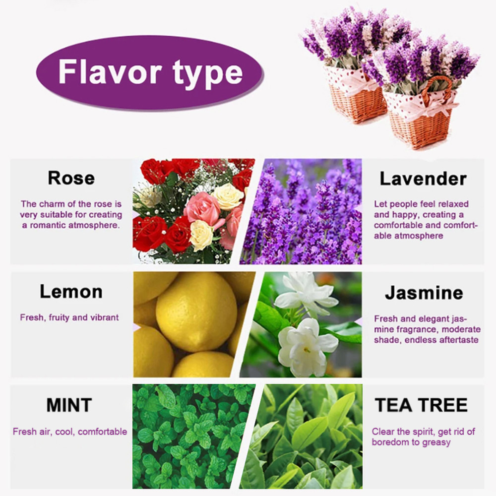 6 Essential Oils Set, Lavender Rose Plant, Air Purification Supplies, breathe cleaner air, and feel Refreshed