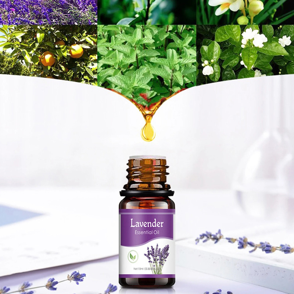 6 Essential Oils Set, Lavender Rose Plant, Air Purification Supplies, breathe cleaner air, and feel Refreshed