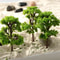 10pcs Plastic Model Trees, 4CM Railroad Scenery, Diorama Ornaments, House Living Room Kitchen Decor