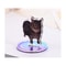 Cute Cat Acrylic Rotating Kitten Stand, Desk Decoration, Home Decor, Car, Motorcycle, Kids, Adults Gifts