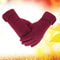 New Female Autumn Winter Warm Gloves, Fleece Lined Thermal Full Finger, Women Cotton Touch Screen Gloves