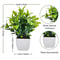 Artificial Christmas Tree Green Potted Plants DIY Room Decor 10