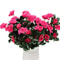 Outdoor Fall Artificial Red Azalea, Bushes UV Resistant Flowers for Garden Decor