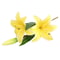 Real Looking, Printing Lily Branch, Artificial Flowers, for Wedding, Home Garden Decoration