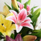 Real Looking, Printing Lily Branch, Artificial Flowers, for Wedding, Home Garden Decoration