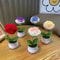 Handwoven Mini Potted Flower Rose Office Desktop Woolen Thread Ornamental Plant For Home Decor 3