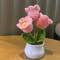 Handwoven Mini Potted Flower Rose Office Desktop Woolen Thread Ornamental Plant For Home Decor 18