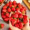 Artificial Strawberries Fake Fruit for Home Party Decor, Photography Prop, Holiday Decor for Halloween Day Celebration