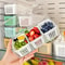 Set Of Food Storage Containers Transparent Square Compartments Vegetable Fruit Salad Condiment Boxe 0