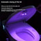 Portable Household Smart Toilet Cleaner Wall Mounted Sterilization Light LED Toilet Light With USB