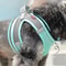 Adjustable Puppy Harness Set Dog Accessories French Bulldog Chihuahua Pet Leash Dog Collar Cat Harn 2