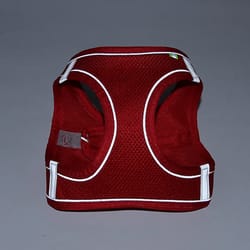 adjustable puppy harness set, dog accessories, french bulldog, chihuahua, pet leash, dog collar, cat harness vest